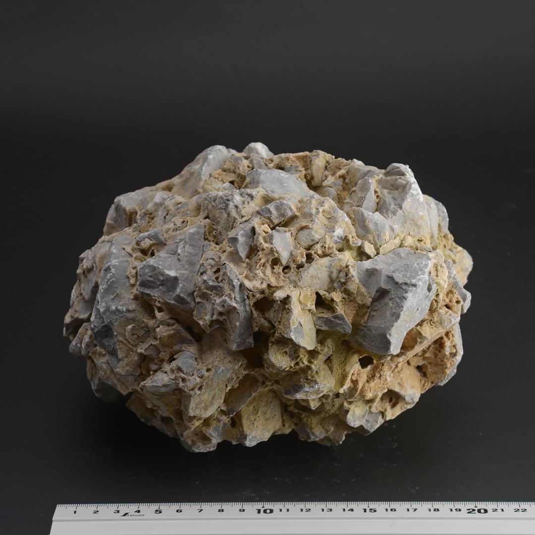 さざれ石（石灰質角礫岩 W22.5cm/D21.4cm/H14.8cm）081