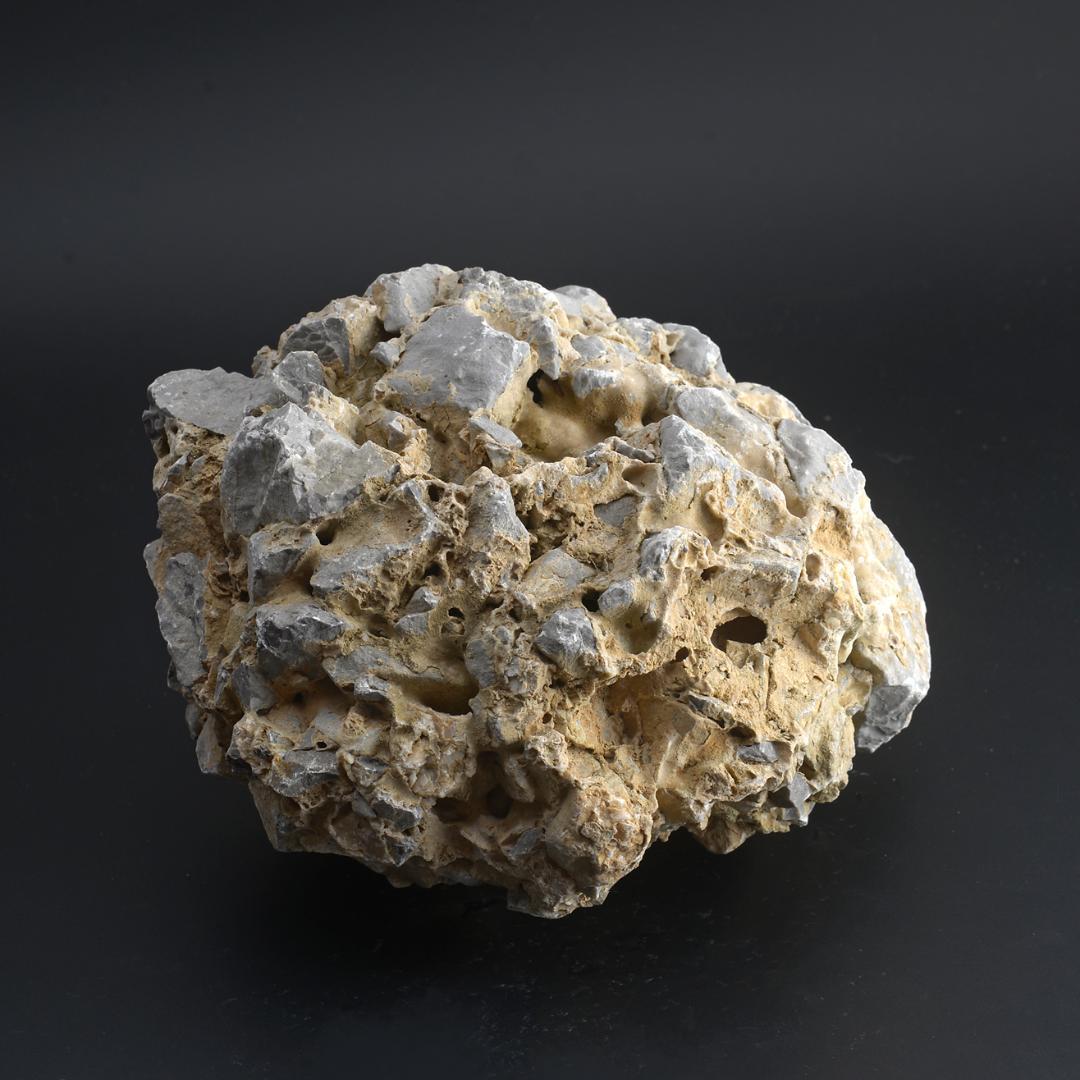 さざれ石（石灰質角礫岩 W22.5cm/D21.4cm/H14.8cm）081