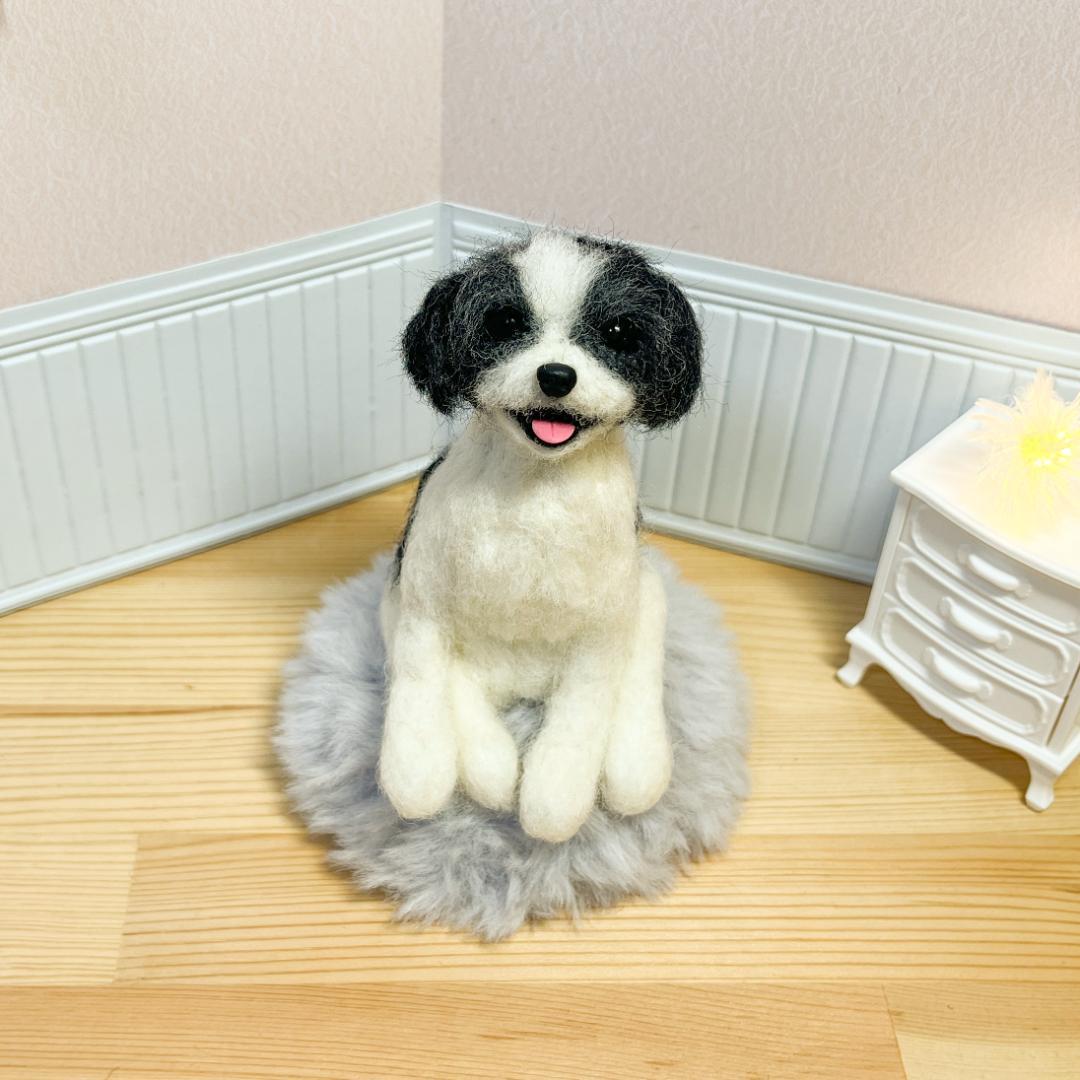 AKです