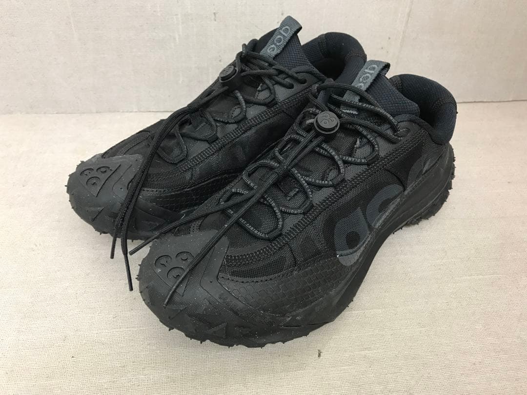 靴 NIKE ACG MOUNTAIN FLY 2 LOW L635