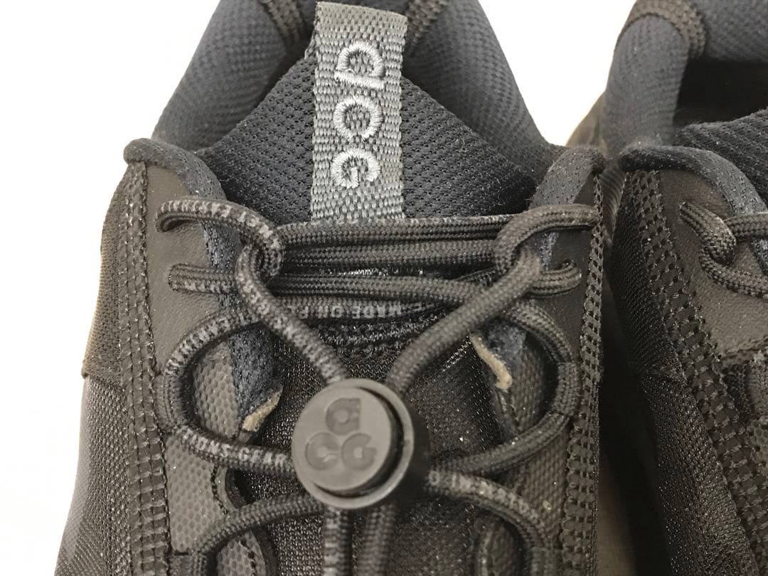 靴 NIKE ACG MOUNTAIN FLY 2 LOW L635