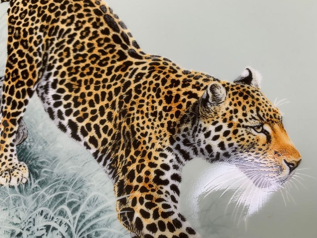 HERMES 赤道直下のスケッチヒョウの絵柄オーバルプレート♡美しい♡希少