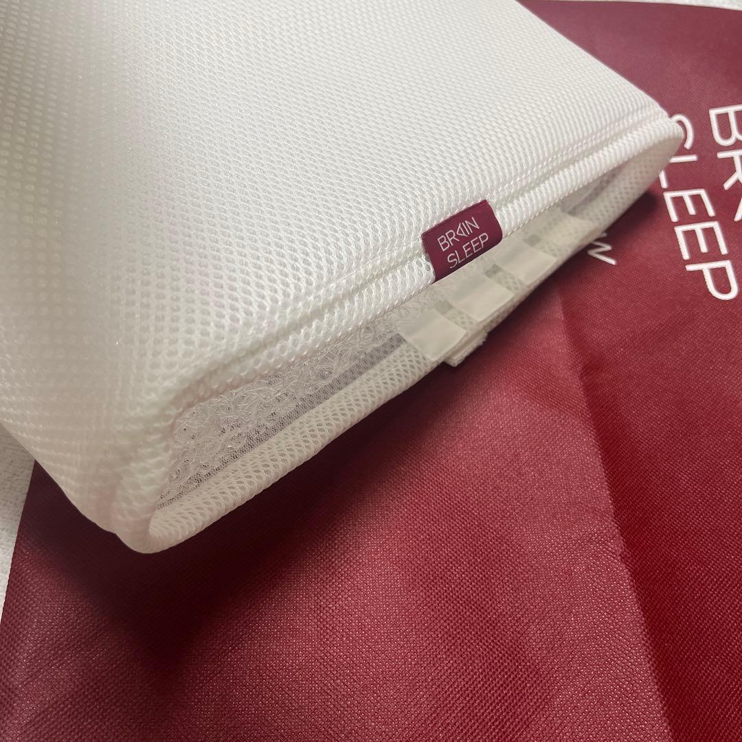 Brain sleep 枕