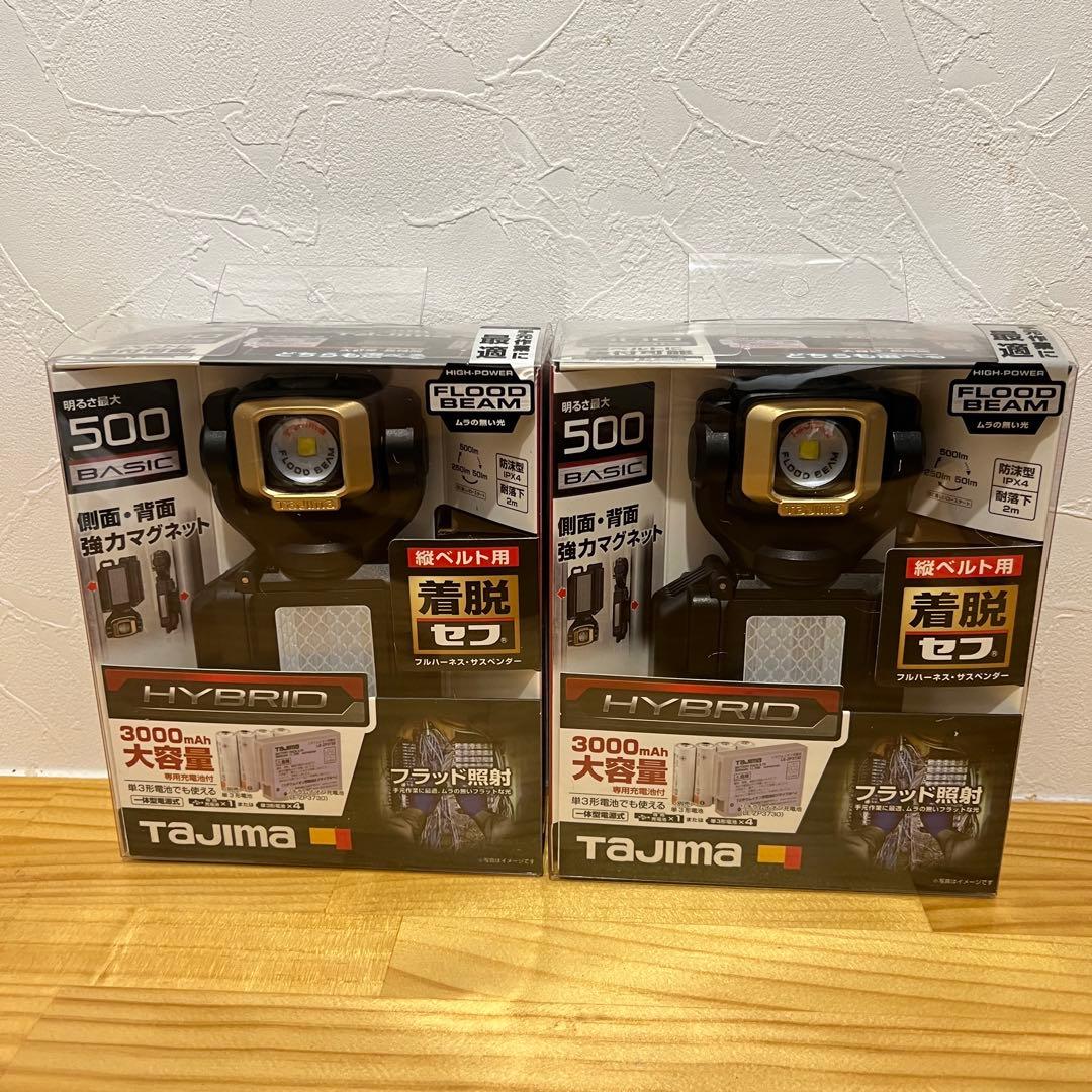 TAJIMA LES-50D1-DSP LEDライト　　2個