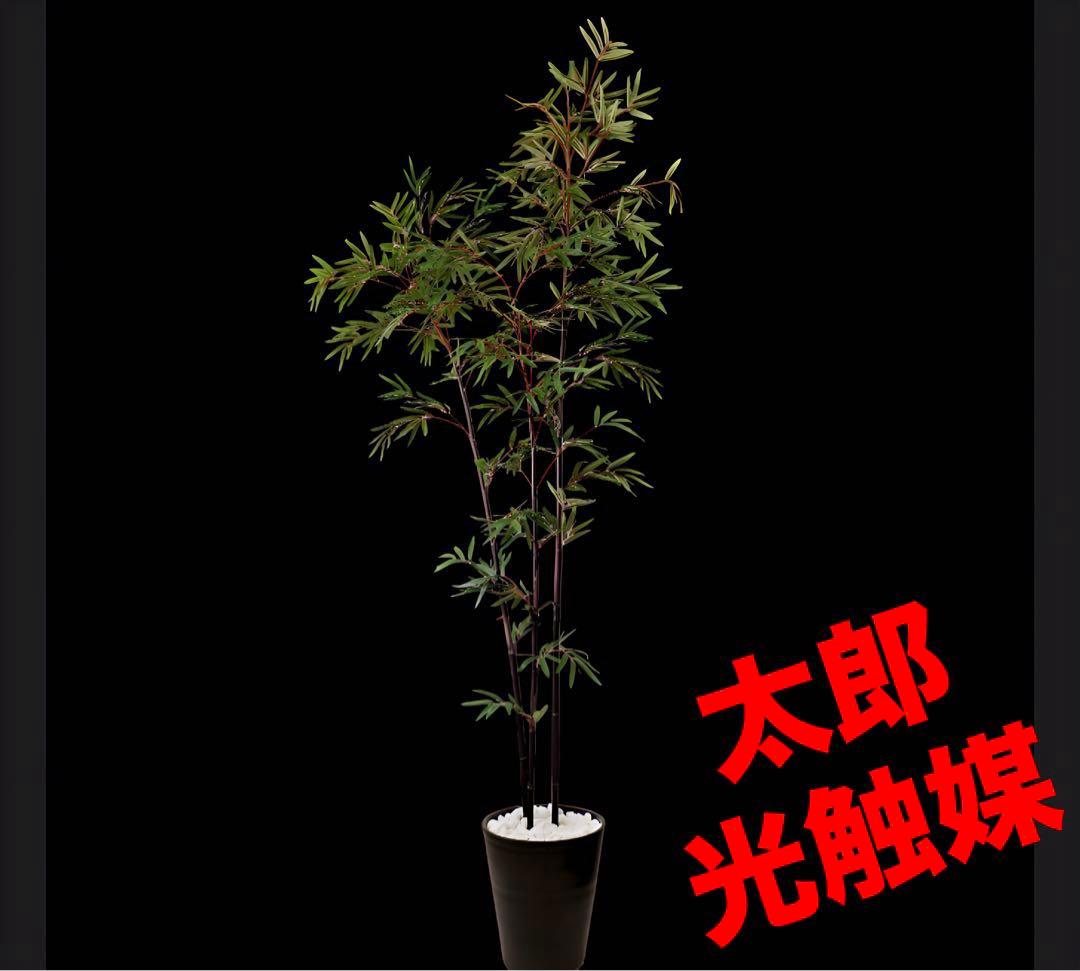 光触媒　人工観葉植物　ウォールグリーン　フェイクグリーン　黒竹3364