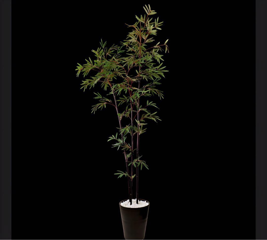 光触媒　人工観葉植物　ウォールグリーン　フェイクグリーン　黒竹3364