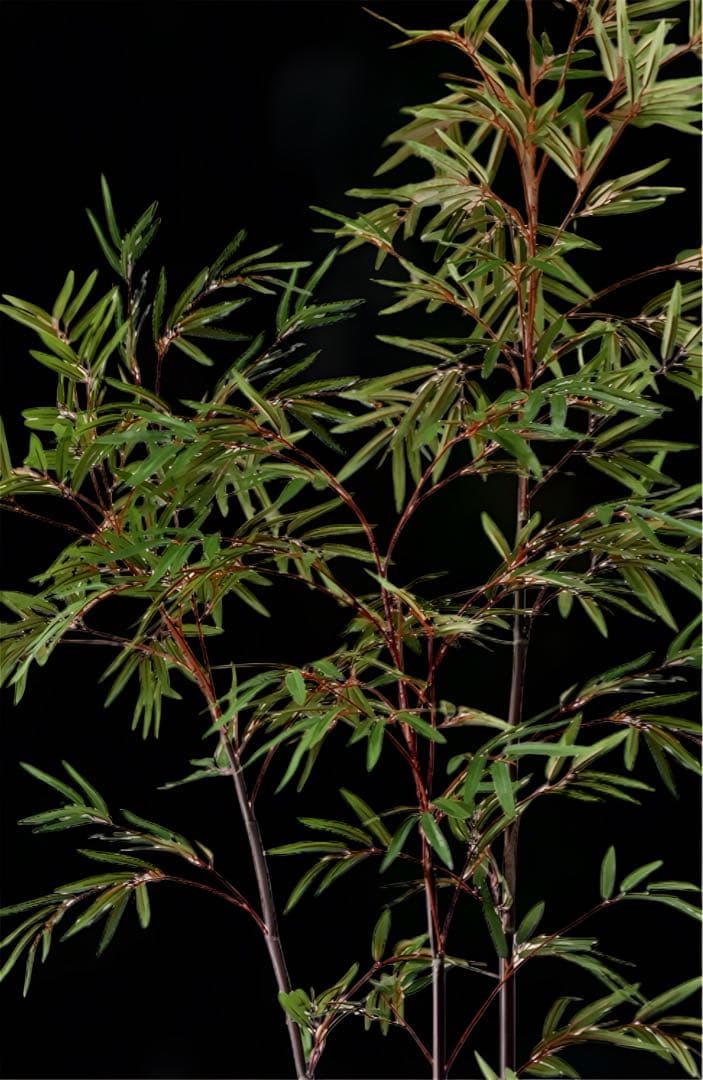 光触媒　人工観葉植物　ウォールグリーン　フェイクグリーン　黒竹3364