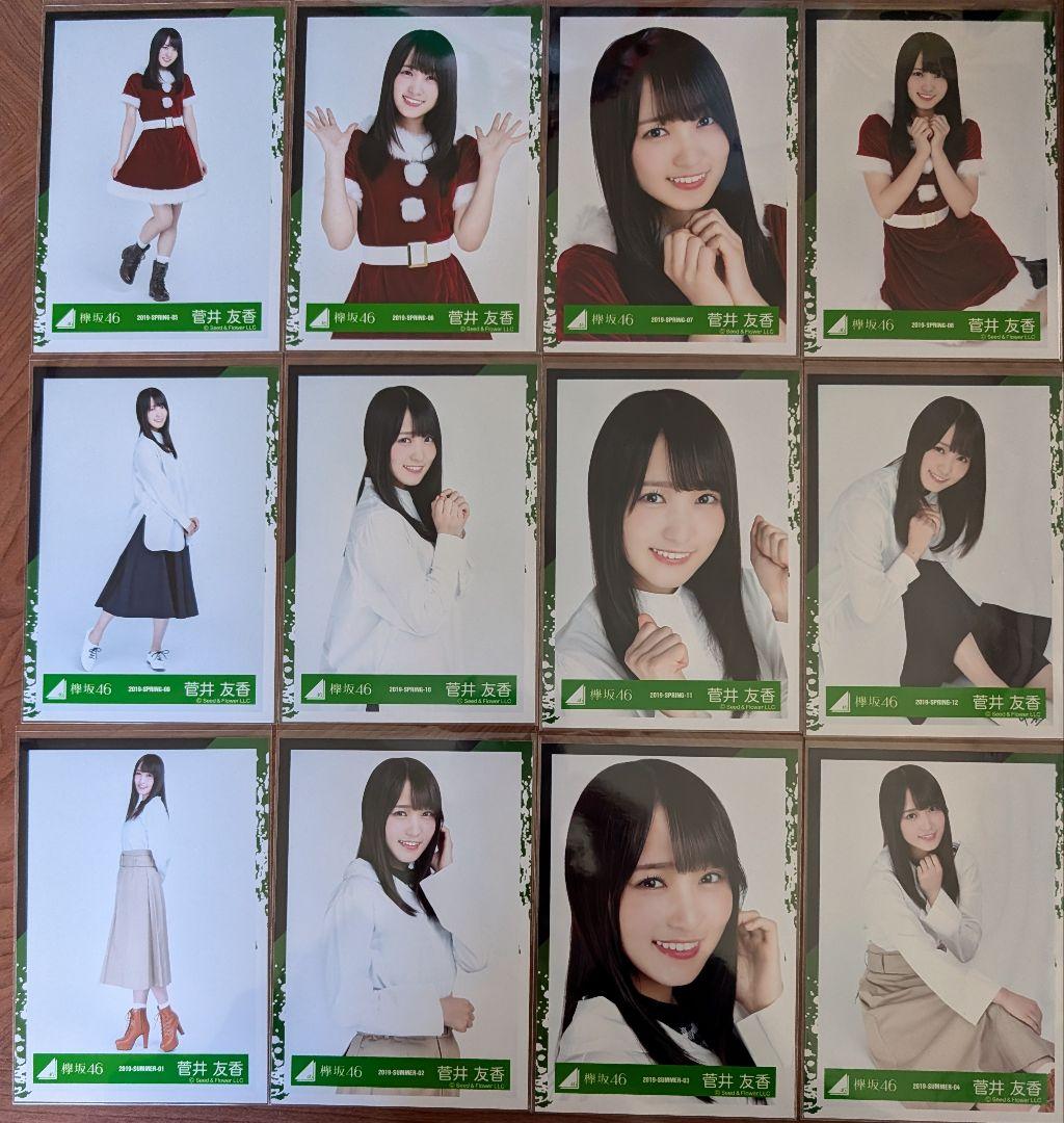 欅坂46 菅井友香 生写真 24コンプ まとめ売り