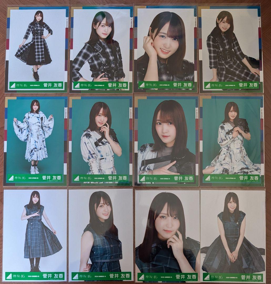 欅坂46 菅井友香 生写真 24コンプ まとめ売り