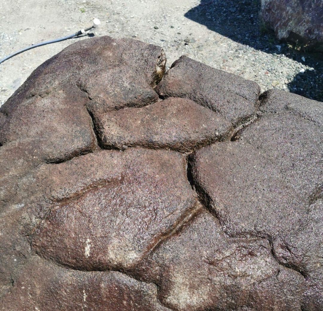 長野産　亀甲石　1.978キロ　庭石　石 鑑賞石　石材　庭　坪庭　ガーデニング