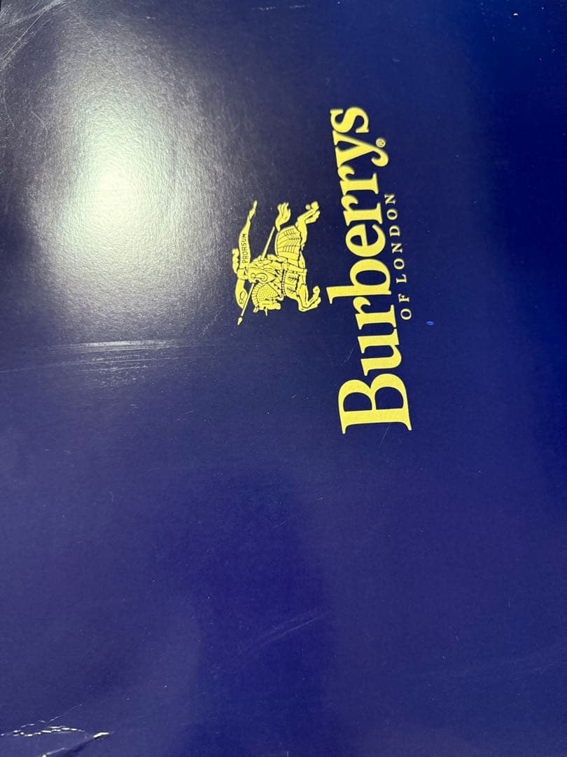 BURBERRY バーバリー 羽毛肌掛けふとん ダウンケット シングル