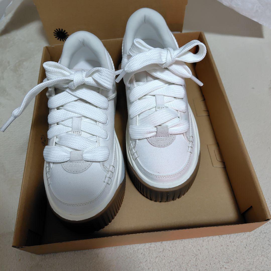 靴 UGG W EZ -DUZZIT ESSENTIAL LACE UP 6.5