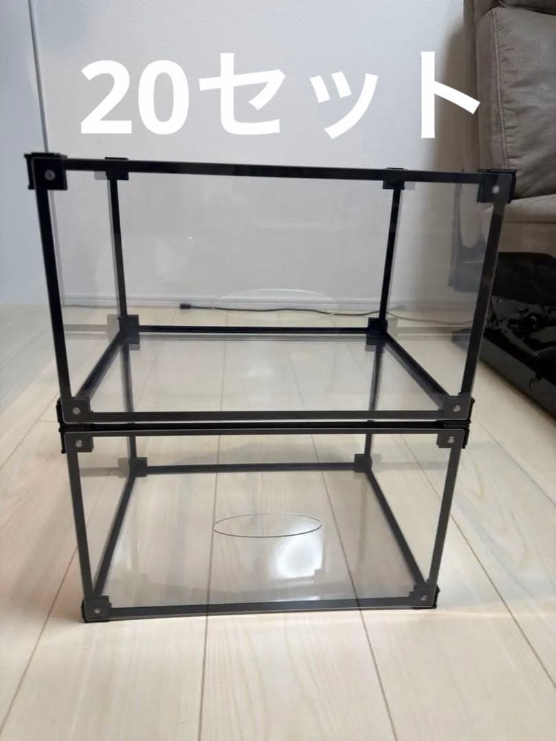 スニーカーコレクションボックス　20セット