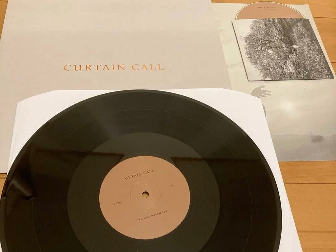 Haruka Nakamura レコード　CD Curtain Call LP