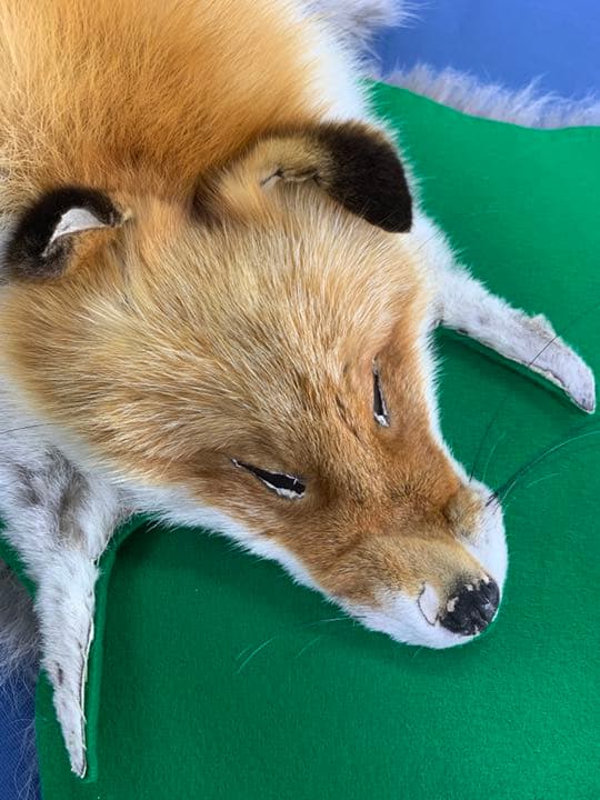 加工例【毛皮】裏地フェルト加工　7700円