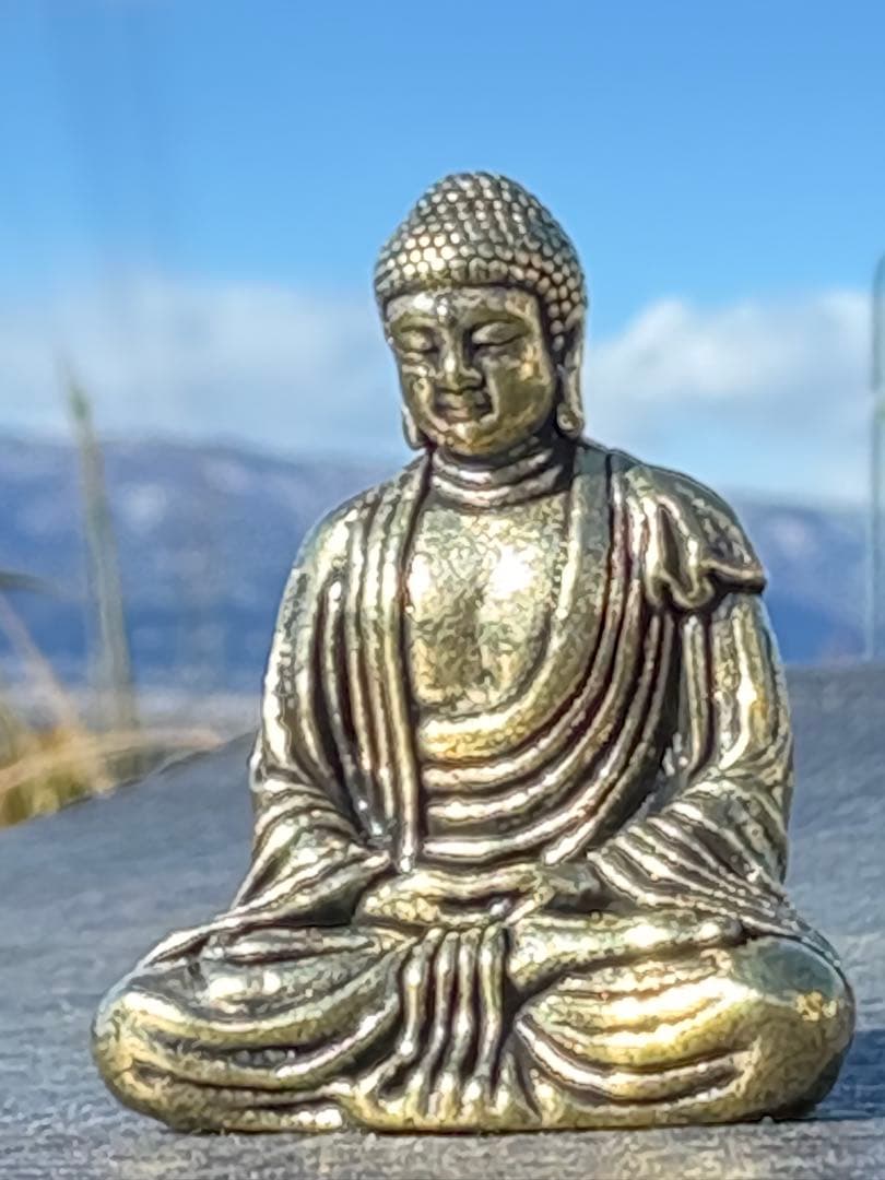 ❗️✳️超レア　❤️*天然形 極みの逸品 夜郎・古銅石 貴州産　寺　456g天然石