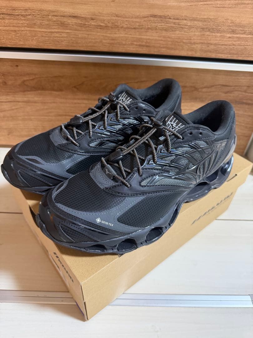 MIZUNO　WAVE PROPHECY LS GTX 28cm