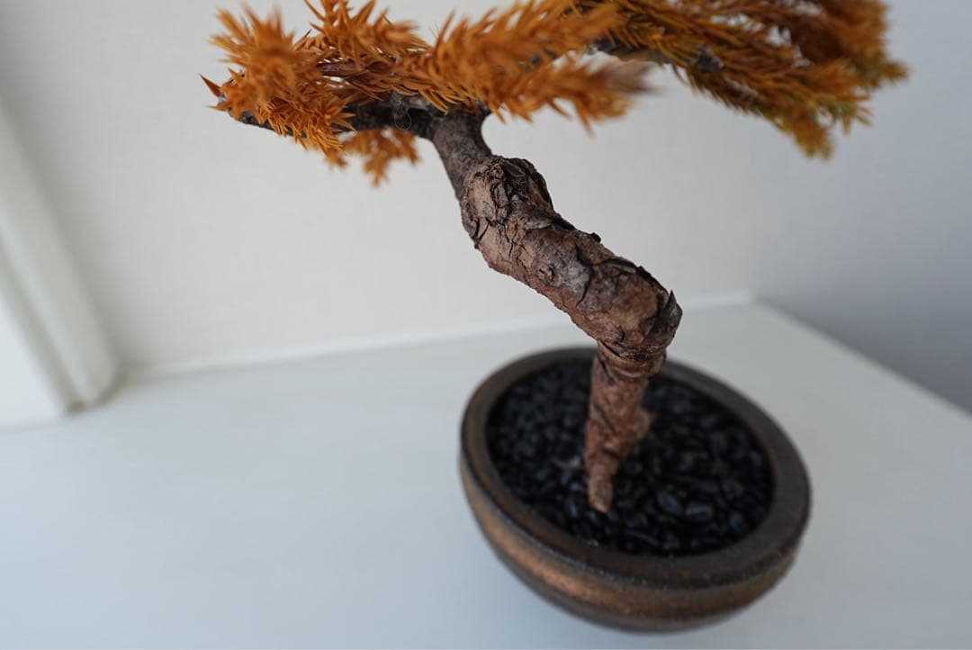 ドライ盆栽