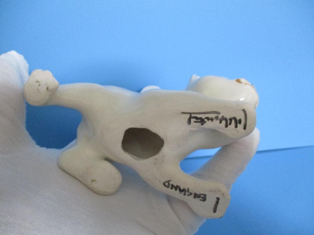 オッドアイの白猫ウィンスタンレイ ケンジントン キャット サイズ1 ZNO1