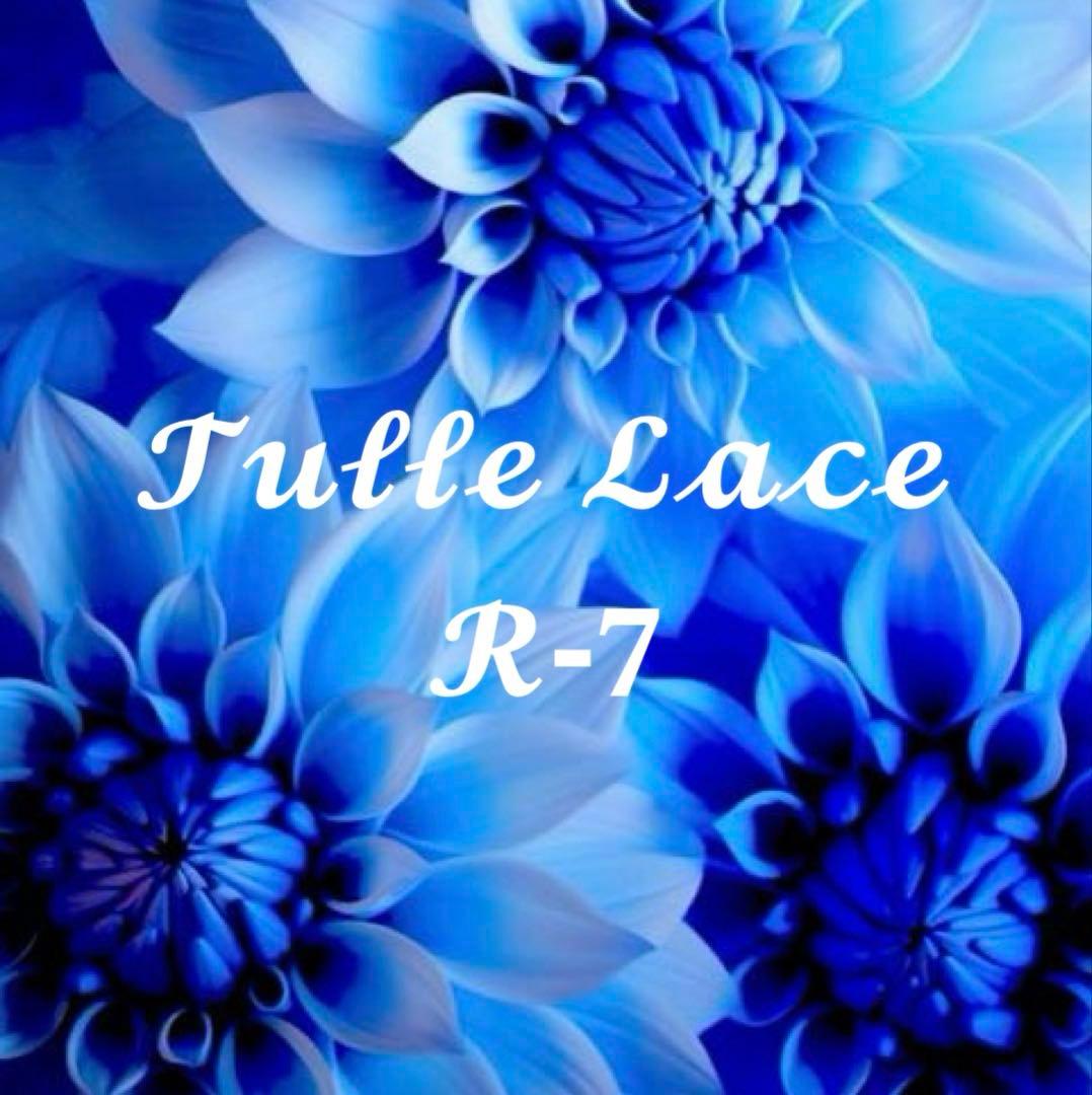 チュールレース一覧 R-7