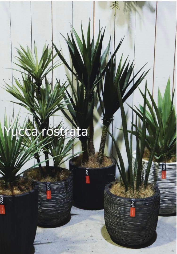 光触媒　人工観葉植物　ウォールグリーン　フェイクグリーン　アガベプラント110