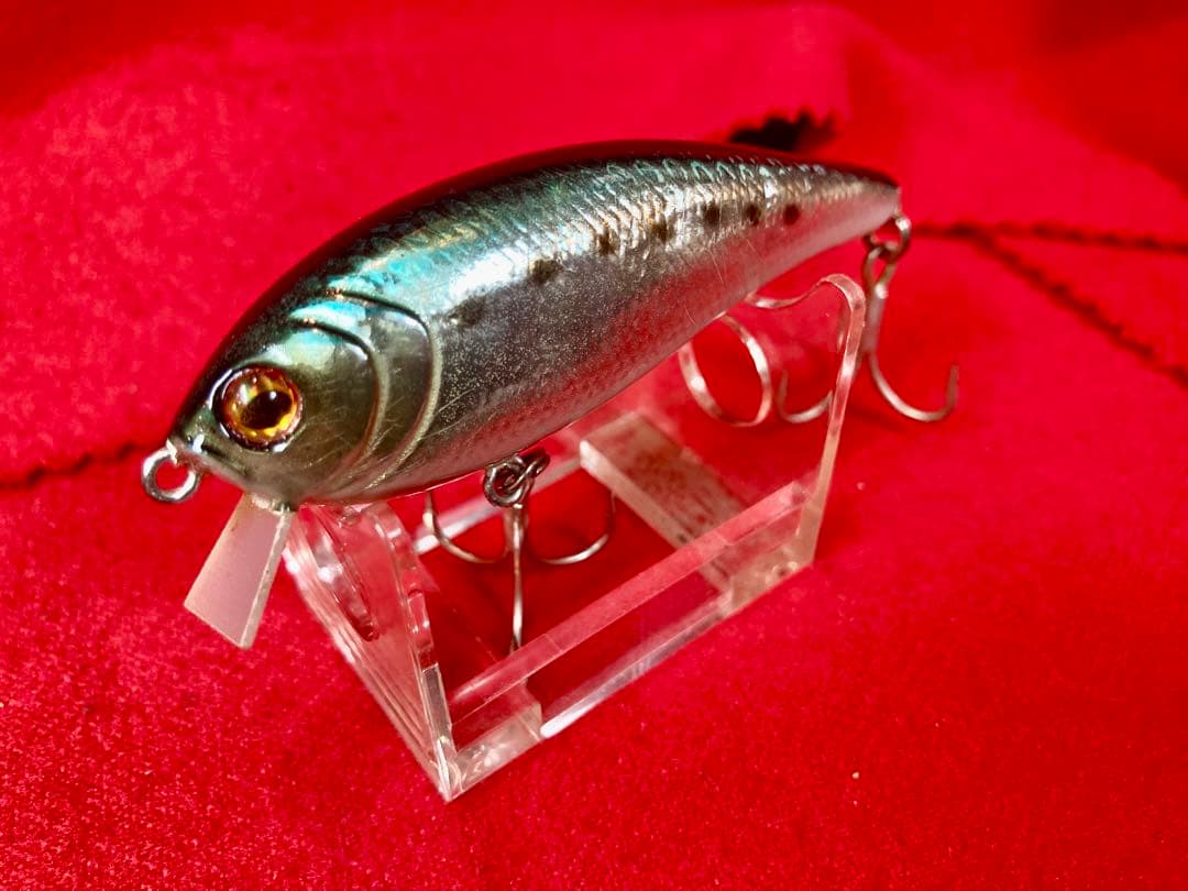 ノースクラフト MORGAN 生塗り真鰯 モルガン75F