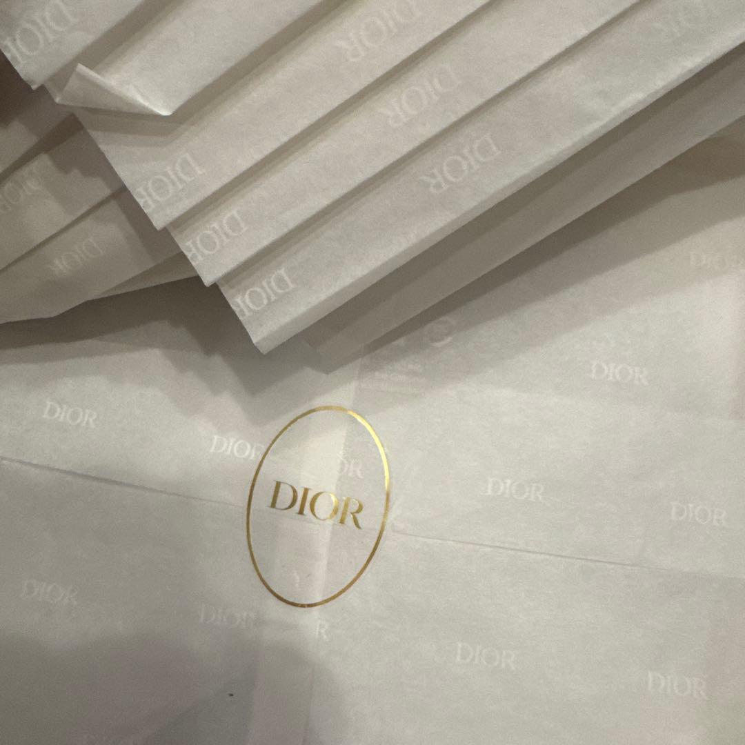 DIOR サイドプレート　2枚セット