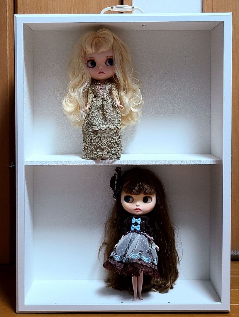 ブライス大型ドールケース白