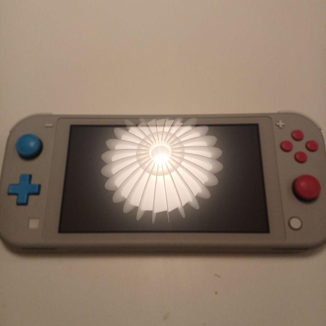 ライジンSwitch Lite グレー　箱つき