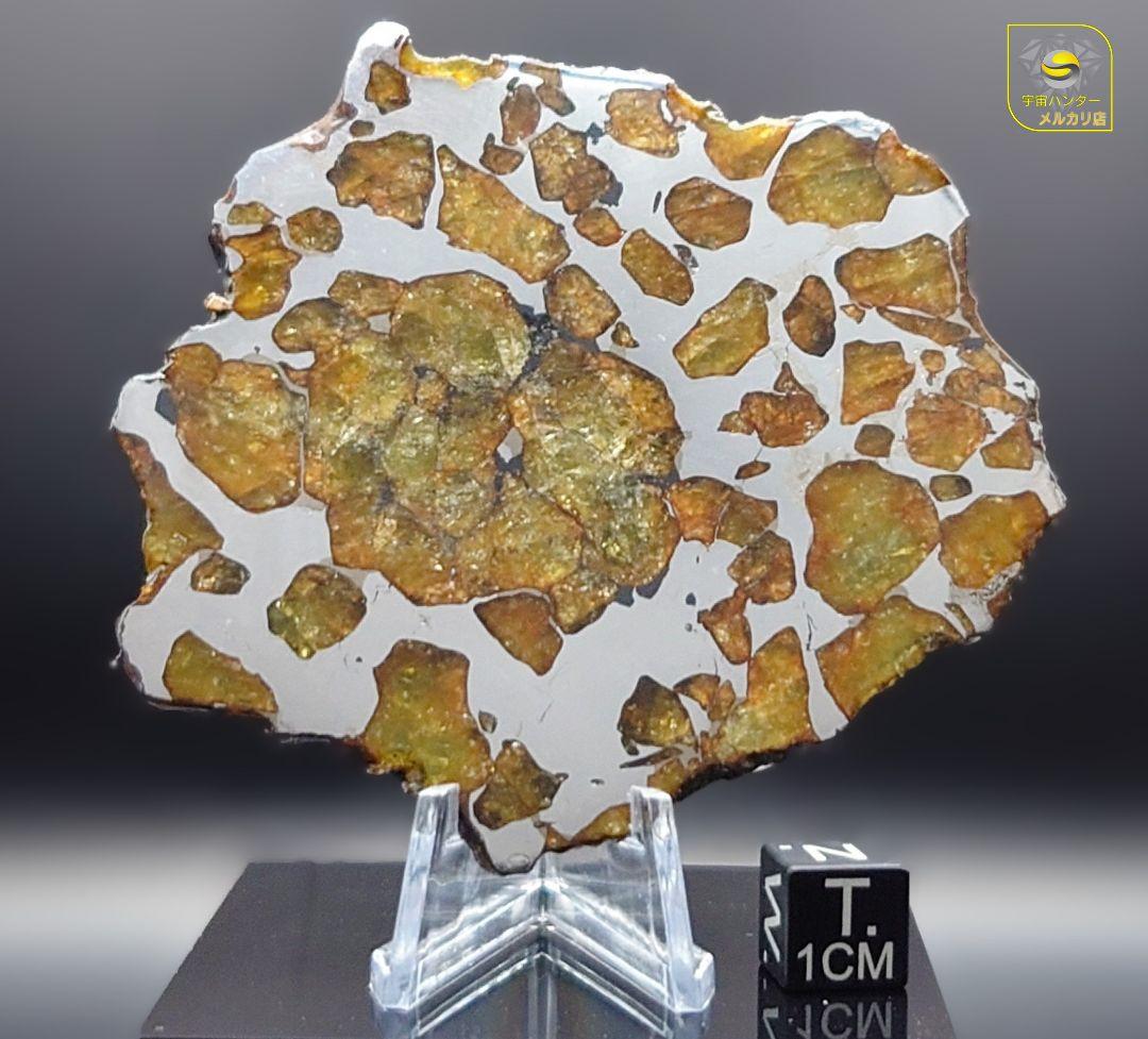 39.65g イミラック パラサイト 隕石 Imilac ⭐