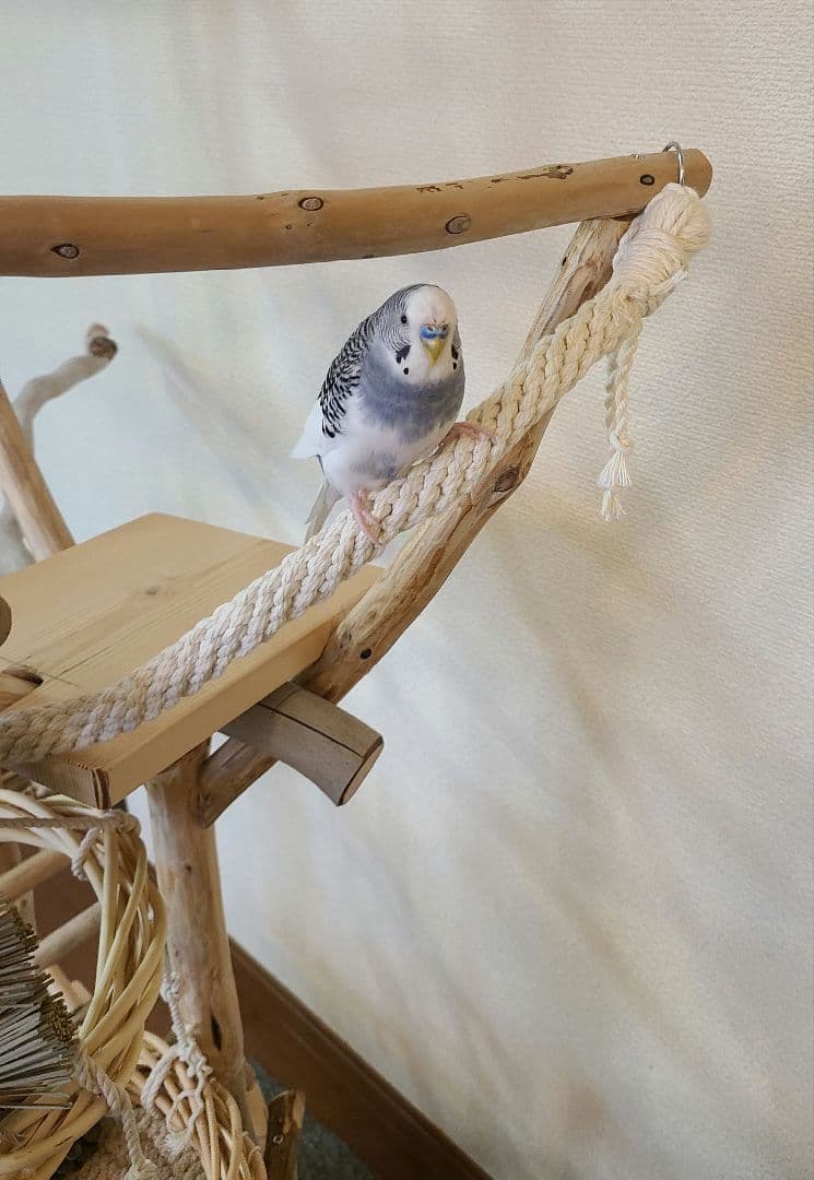 y4gesページ＊　バードアスレチック　ハンドメイド　流木