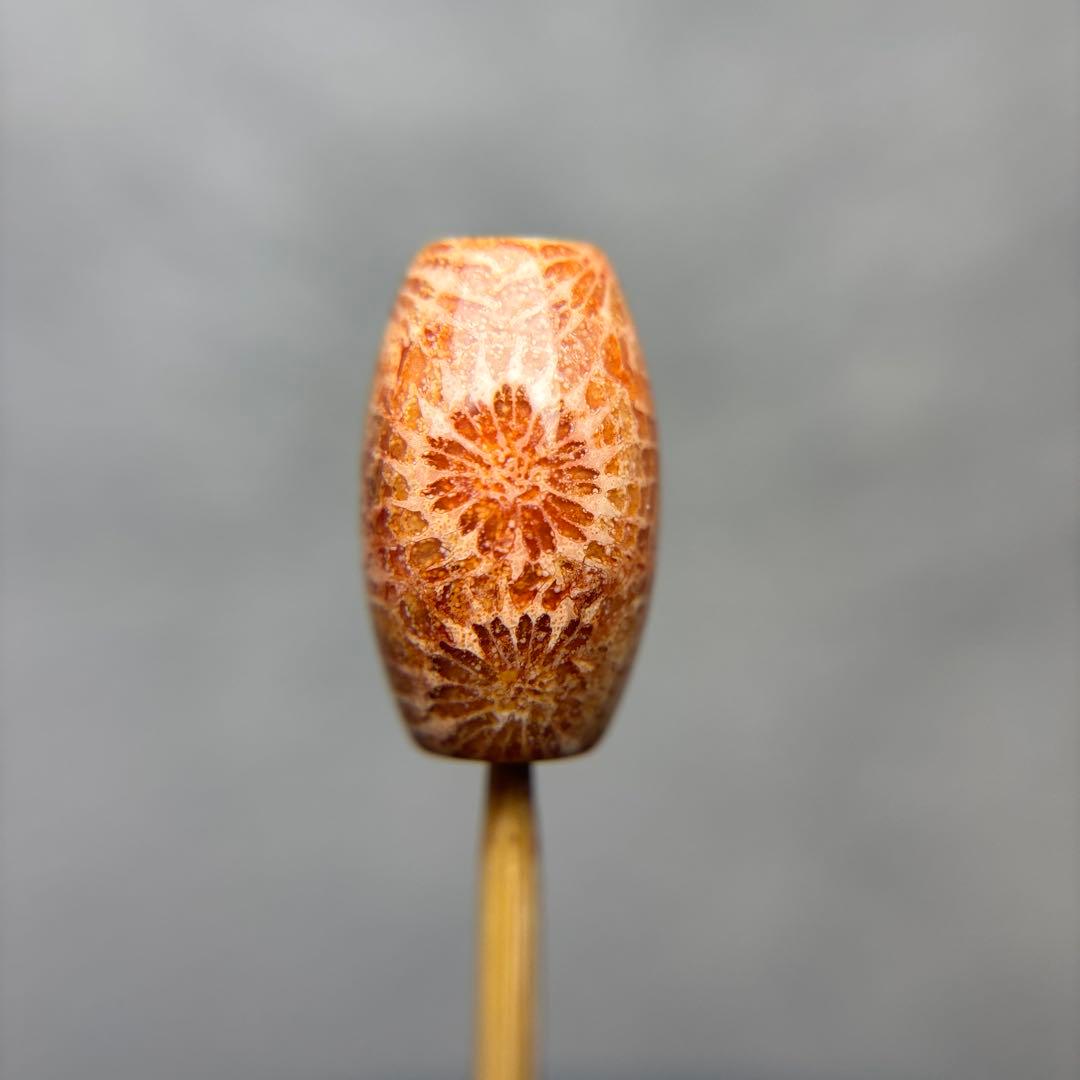 ユッキーフォッシルコーラル　天珠　1-332