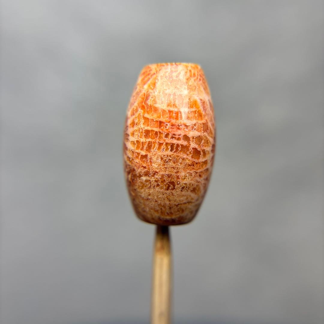 ユッキーフォッシルコーラル　天珠　1-332