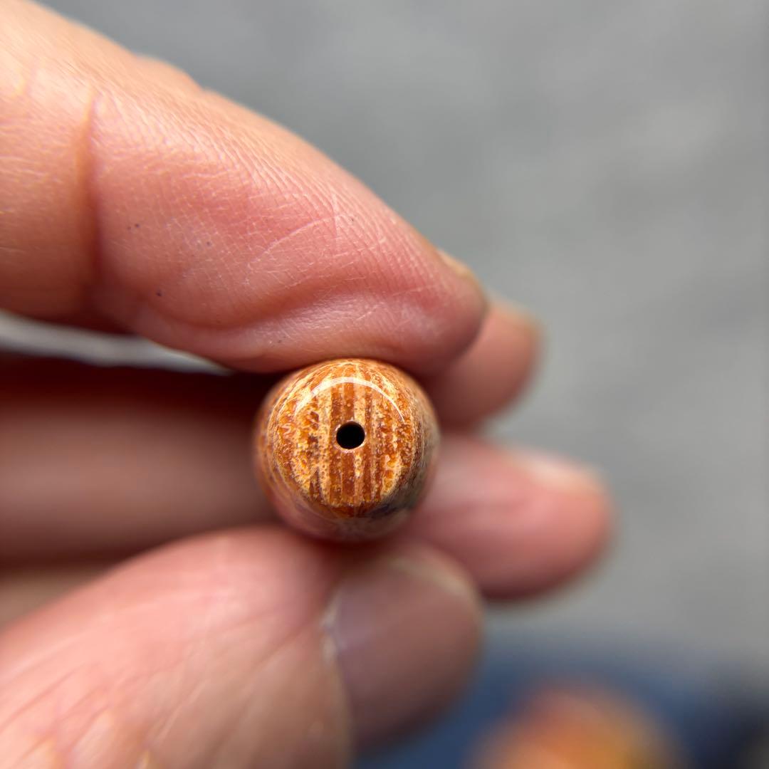 ユッキーフォッシルコーラル　天珠　1-332