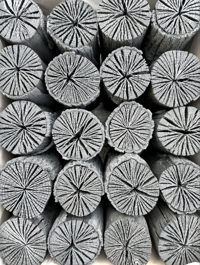 【愛媛産】クヌギ炉用胴炭約5kg 皮剥がれ