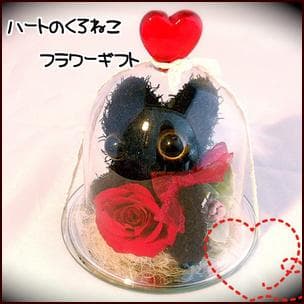 プリザーブドフラワーガラスドーム ハート黒ネコ