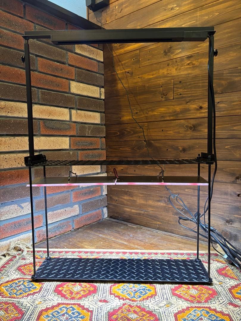 植物　アガベ　多肉　植物ラック　育成ledライト付き　無骨　インダストリアル