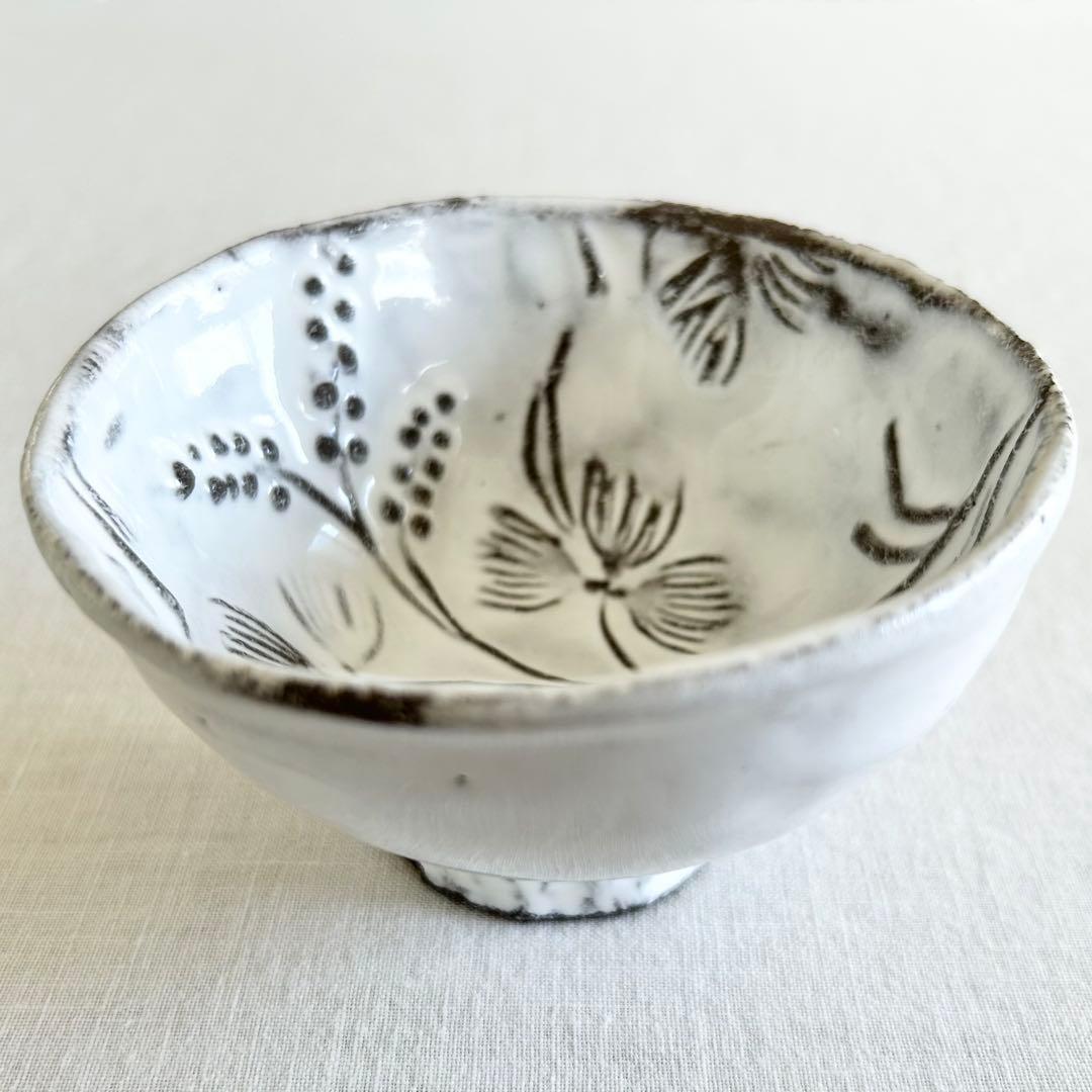 アスティエドヴィラット　ボウル　ロビンソン