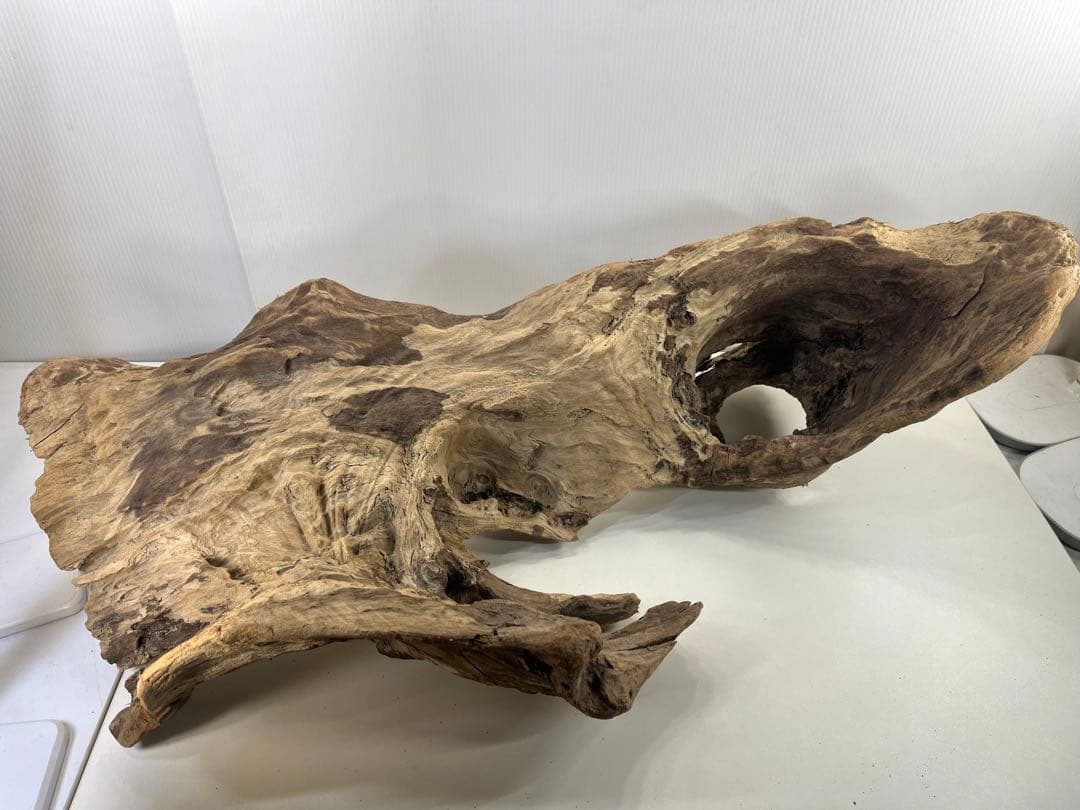m61特大流木 アク抜き済み 爬虫類シェルター レイアウト用 登り木 インテリア