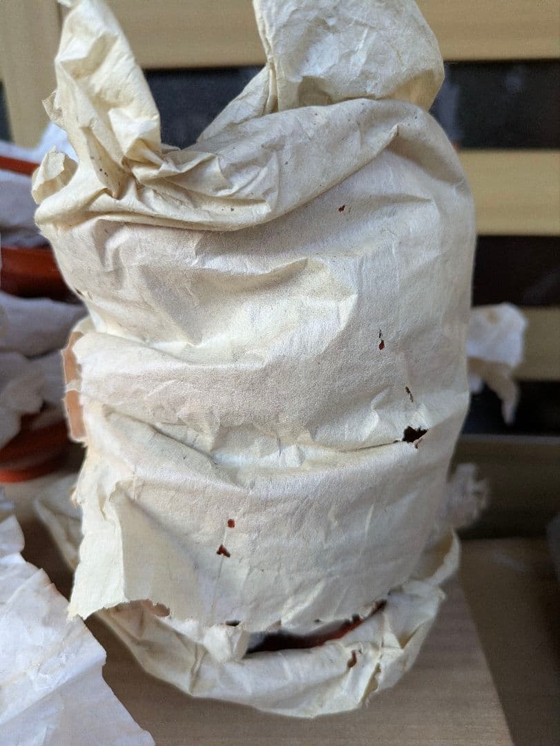 金蒔絵 木製漆器 骨董 漆器 蒔絵 吸物椀 お椀 蓋付　20個　骨董品　年代物