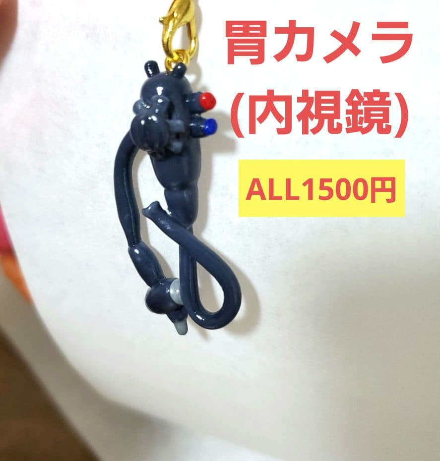 胃カメラ　内視鏡　臓器　手作り　キーホルダー