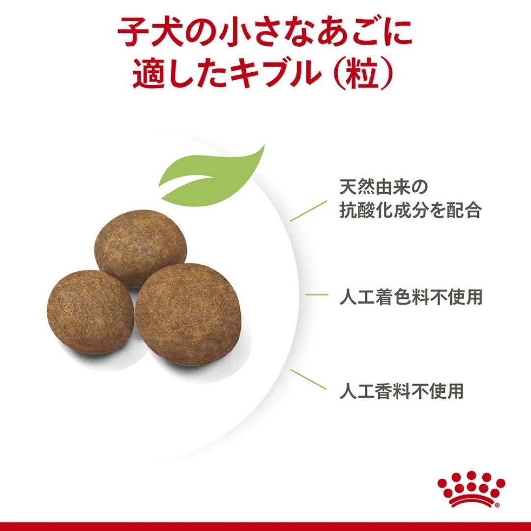 ロイヤルカナン マキシパピー 16kg 大型犬 子犬用