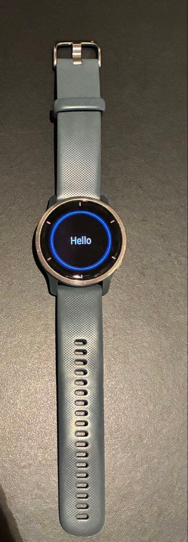 その他 Garmin venu2