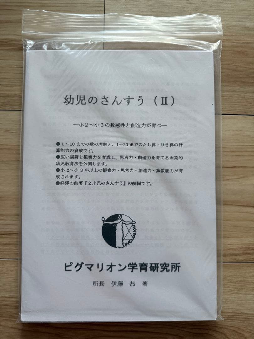 ピグマリオン学育研究所のヌマーカステン ウッディブロック他セット