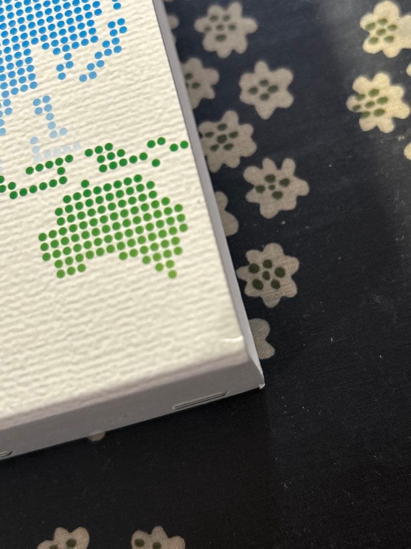 地理学事典 丸善出版