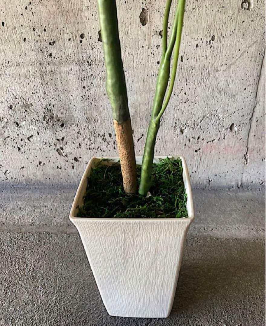 光触媒　人工観葉植物　ウォールグリーン　フェイクグリーン　くねくねパキラj