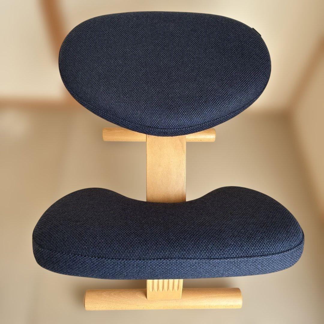 Rybo社 バランスチェア・イージー