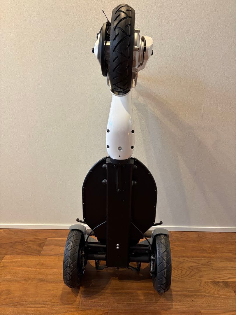 STRIEMO ストリーモ S01JT 電動 公道走行可 リアキャリア金具付属