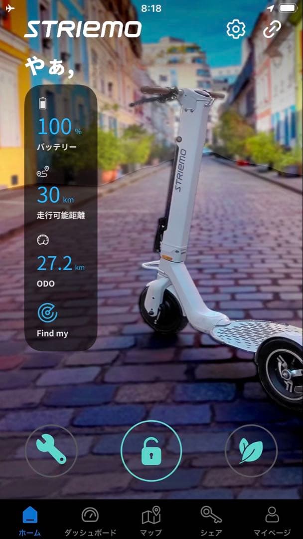 STRIEMO ストリーモ S01JT 電動 公道走行可 リアキャリア金具付属