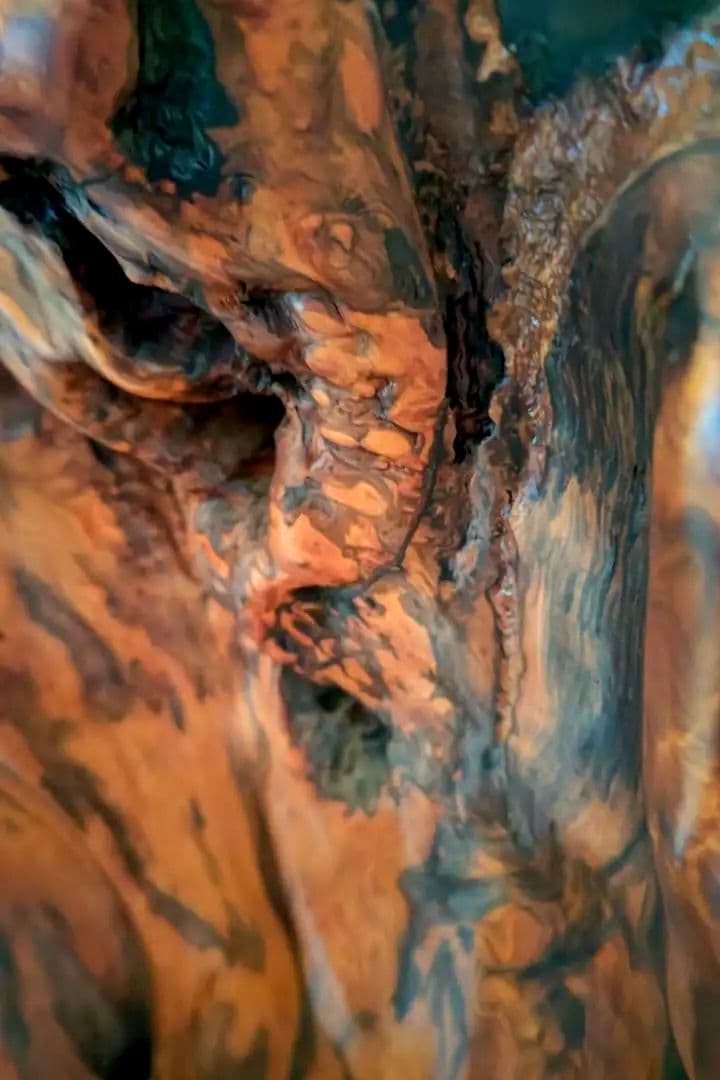 屋久杉　衝立　世界自然遺産　ついたて　高さ約150センチ